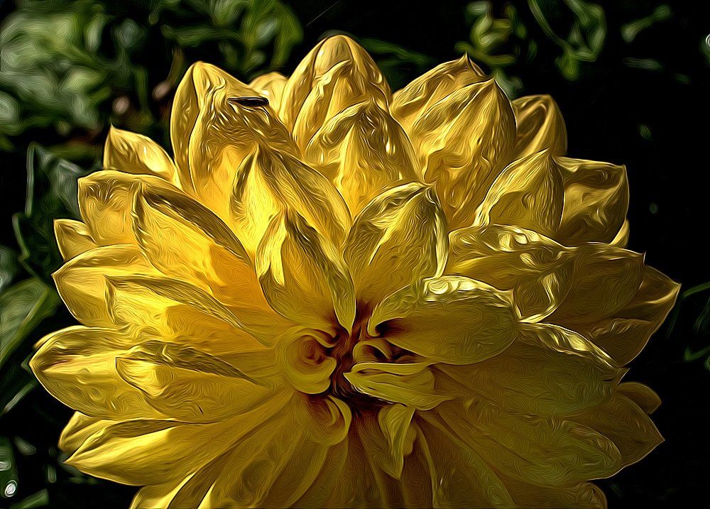 4711 Blume-16X_3805-1-Kopie.jpg